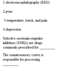 Chapter 3 Biopsychology